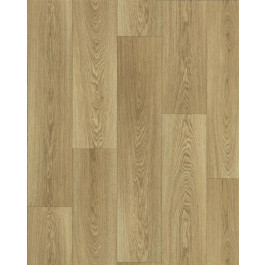 Линолеум КОМФОРТ Доска 069